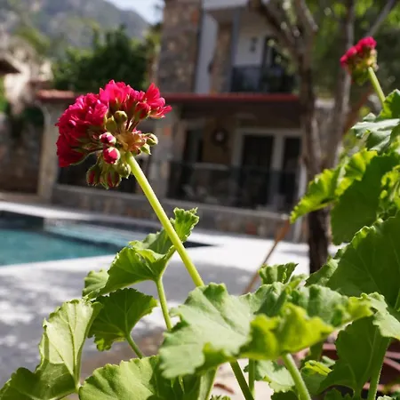 Valencia By Luxury Group, Oeluedeniz, Private Pool Вилла Cedit