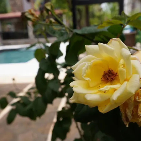 Вилла Valencia By Luxury Group, Oeluedeniz, Private Pool *