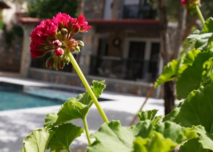 Valencia By Luxury Group, Oeluedeniz, Private Pool ヴィラ Cedit