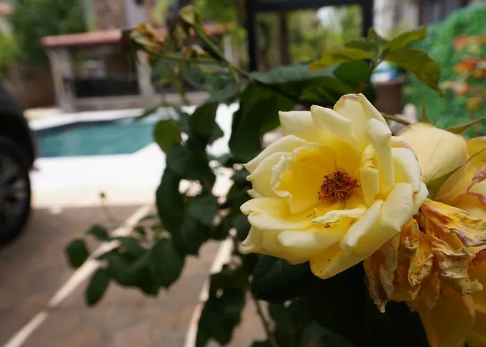 Villa Valencia By Luxury Group, Oeluedeniz, Private Pool *